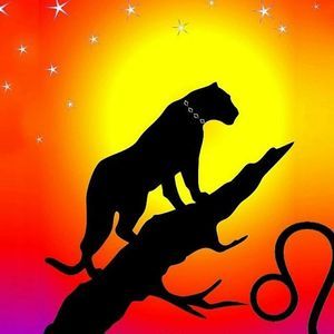 Meet your Posher, Phyllis